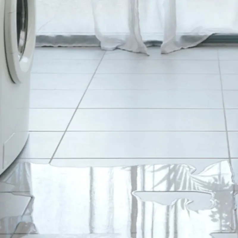 Appliance Leak Cleanup in Collinsville, TX