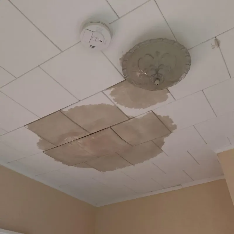 Ceiling Water Damage Repair in Collinsville, TX