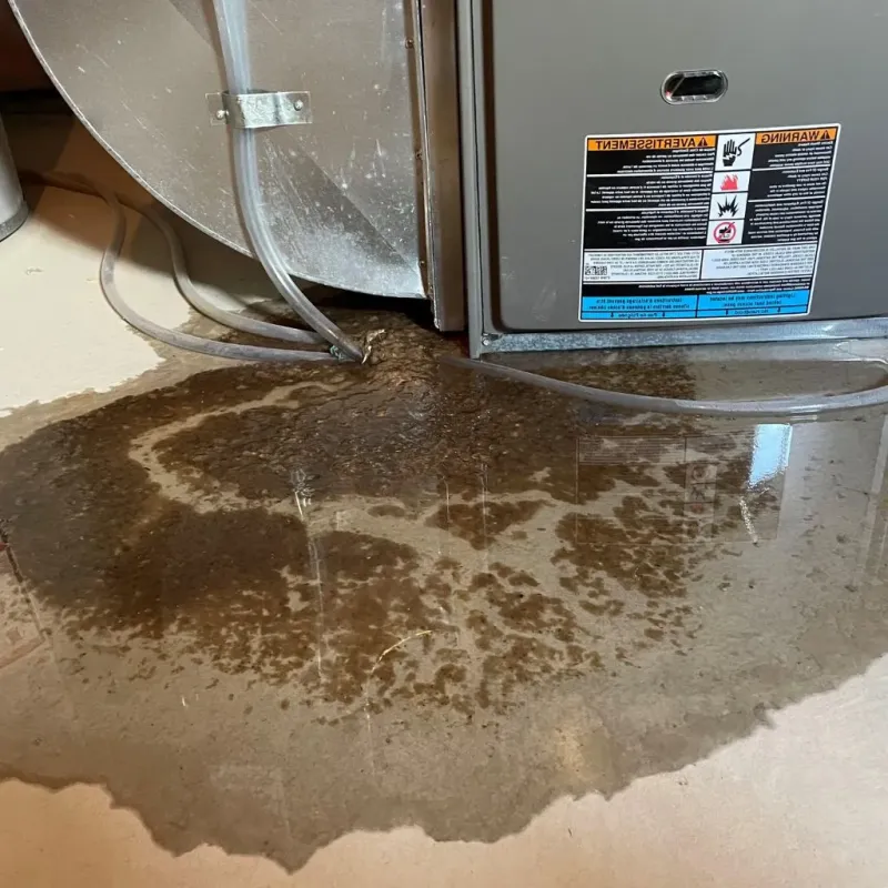 Pipe Burst and Leak Restoration in Collinsville, TX