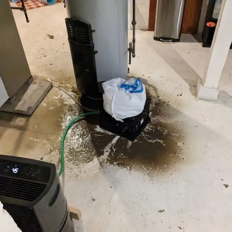 Sewage Backup Cleanup Service in Collinsville, TX